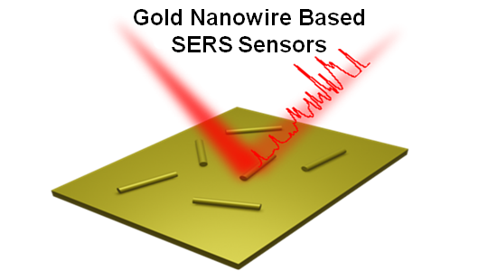 AST-2024-021_R1_P_Graphical Abstract_001.png